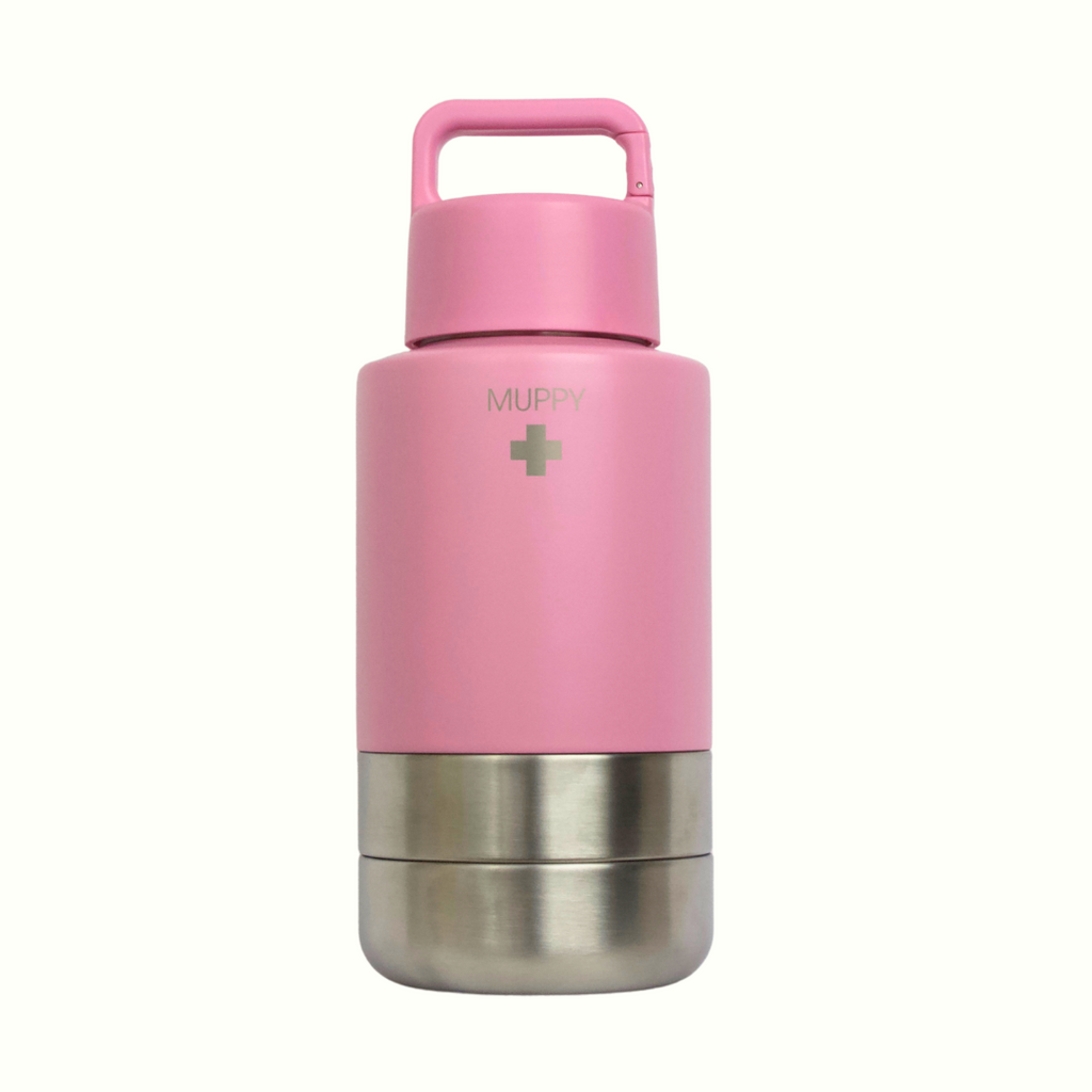 Pink 3-in-1 Portable Food and Water Bottle