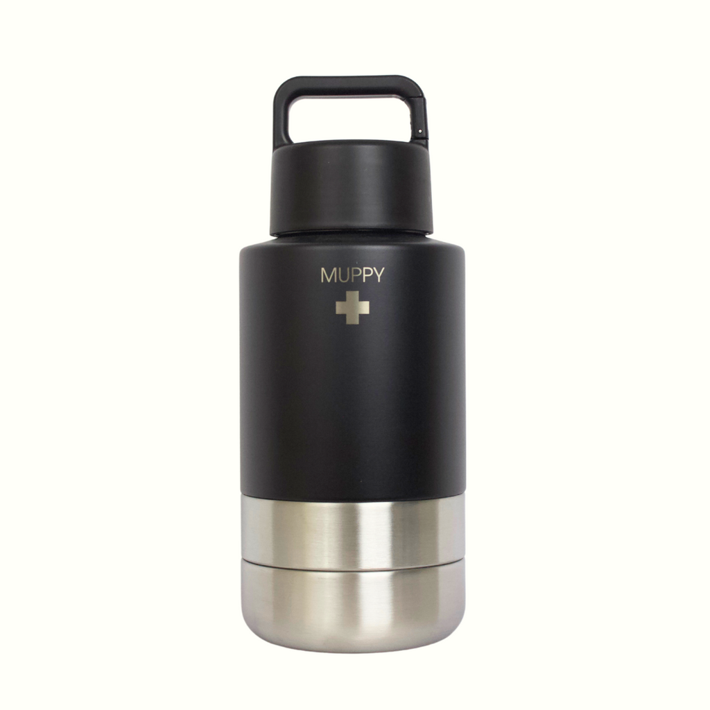 Black 3-in-1 Portable Food and Water Bottle