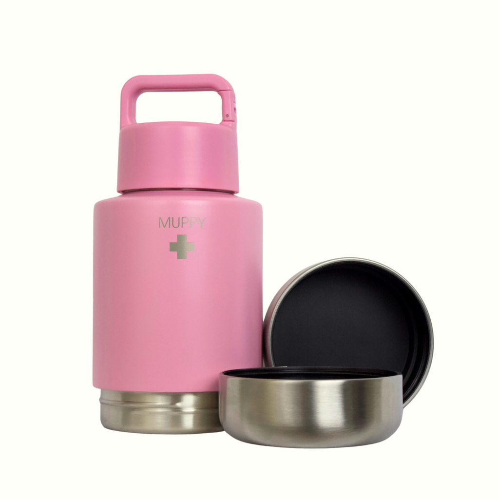 Pink 3-in-1 Portable Food and Water Bottle