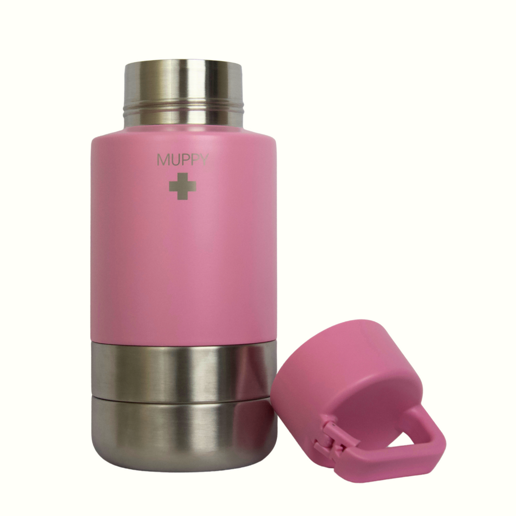 Pink 3-in-1 Portable Food and Water Bottle